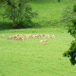 phoca_thumb_m_veverky u liky 19 Fotogalerie